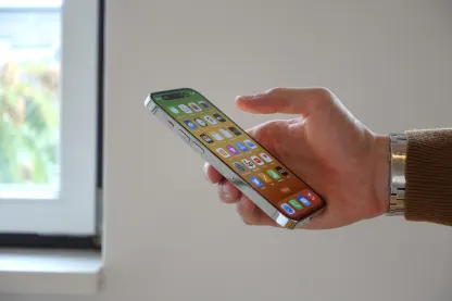 BitVegas Casino App Mobile